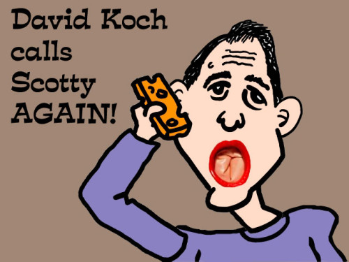 Scotty's new Koch call